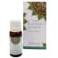 Aceite de Fragancia Jazmin Egipcio Goloka 10ml