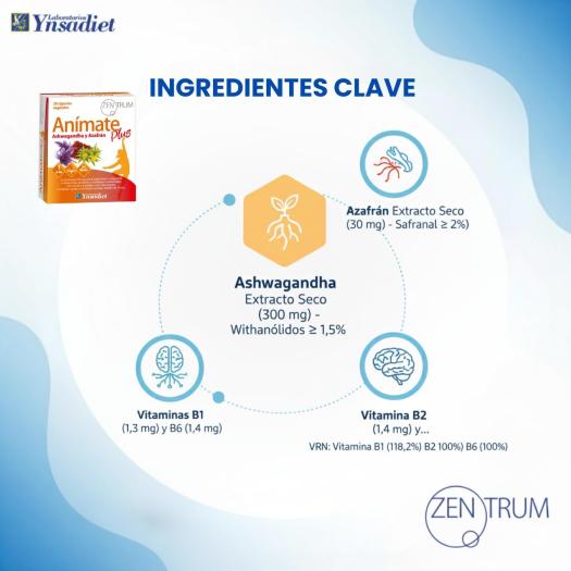 Anímate Plus Zentrum Ynsadiet 30 Cápsulas Vegetales