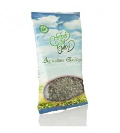 Arándano Hojas Herbes del Molí Bio 30gr