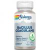 Bacillus Coagulans Solaray 60 VegCaps