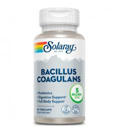 Bacillus Coagulans Solaray 60 VegCaps