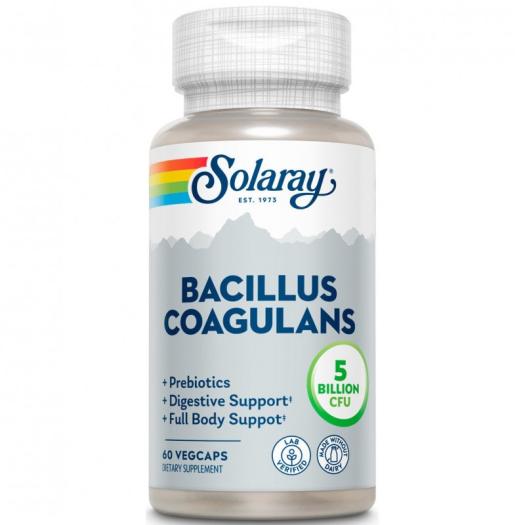 Bacillus Coagulans Solaray 60 VegCaps