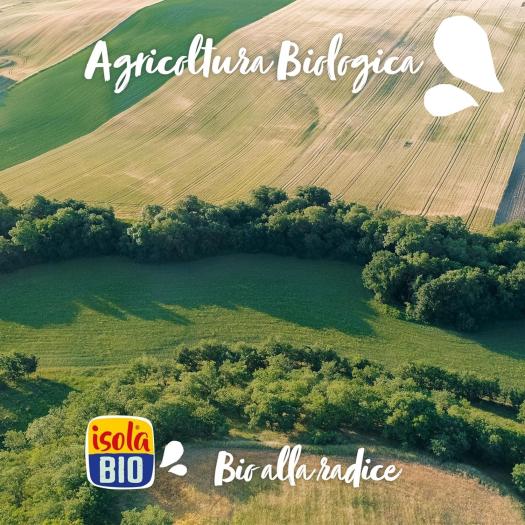 Bebida Mini de Arroz y Avellanas IsolaBio Bio 1L