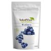 BlueBerry en Polvo Salud Viva Bio 125g