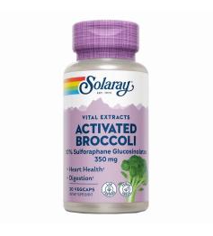 Brócoli Activado (Activated Broccoli Seed Estract) Solaray 30 VegCaps