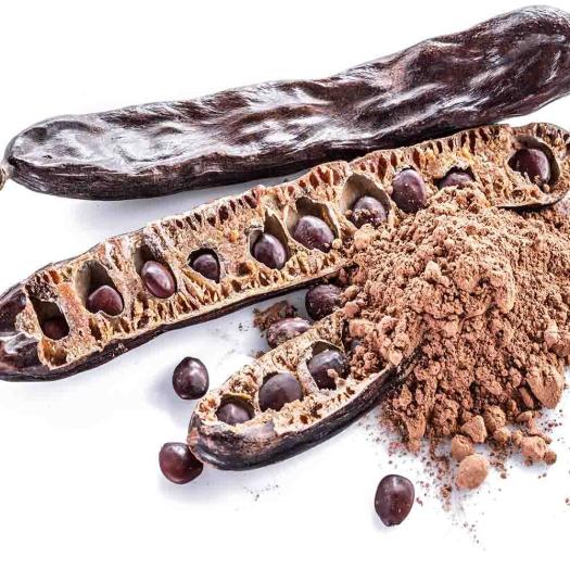 Café de Algarroba Salud Viva Bio 250g