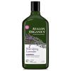 Champú Lavanda Avalon Organics 325ml