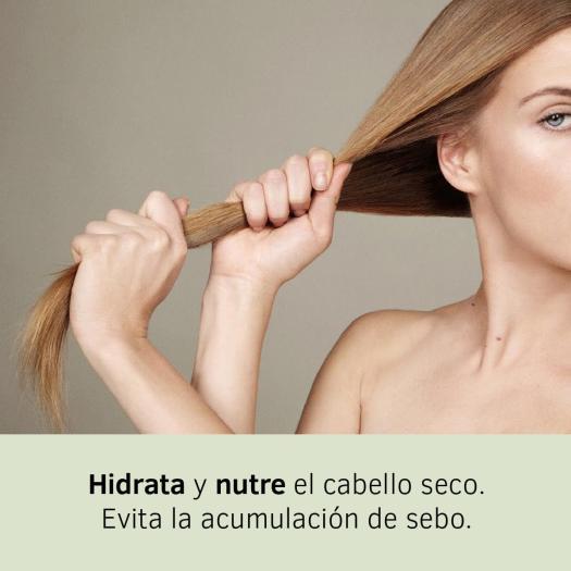 Champu Regenerador Argan y Jojoba con Keratina Labnatur SYS 500ml