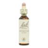 Chestnut Bud Brote de Castaño 07 Flores de Bach Originales 20ml