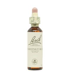 Chestnut Bud Brote de Castaño 07 Flores de Bach Originales 20ml