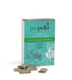 Chicle de Propóleo y Menta Propolia 27uds 24g