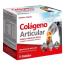 Colágeno Articular Zentrum Ynsadiet 20 Sobres