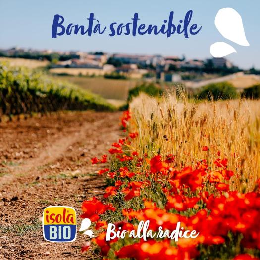 Cuisine Crema de Coco para Cocinar IsolaBio Bio 200ml