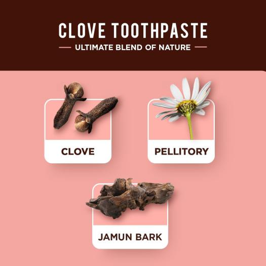 Dentífrico Ayurvédico Clavo Dabur 100 ml