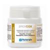 ErgyCox Nutergia 30 Comprimidos