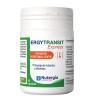 ErgyTransit Nutergia 30 Cápsulas