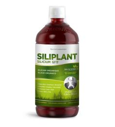 G7 Siliplant Silicium 1L