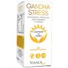 Gandha Stress Vinnea Lab 30 Cápsulas Vegetales