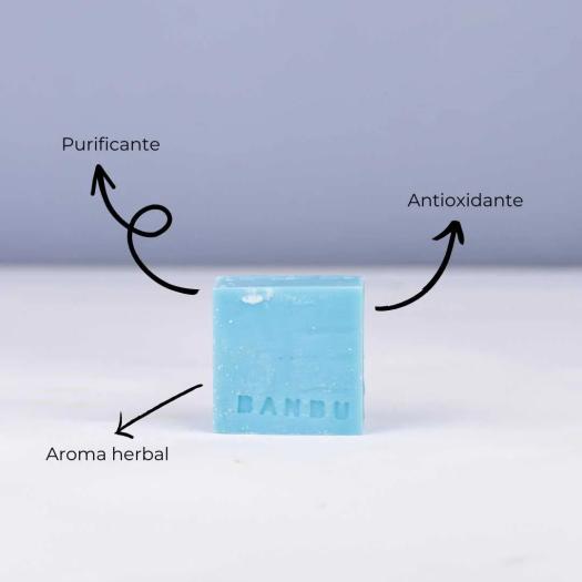 Gel de Ducha Sólido Nostalgia con Aroma Herbal Banbu 100g