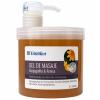 Gel de Masaje Harpagofito y Árnica Bifemme Ynsadiet 500ml