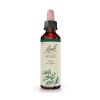 Holly Acebo 15 Flores de Bach Originales 20ml