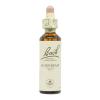 Hornbeam Hojarazo 17 Flores de Bach Originales 20ml