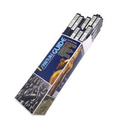 Incienso Guía Espiritual Padmini 25 x 8 Varillas