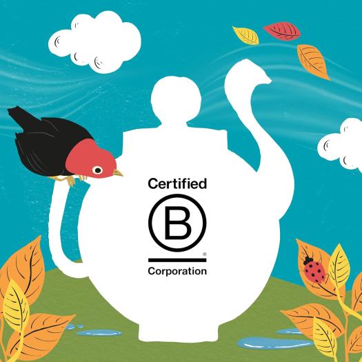 Infusión DETOX Cupper Bio 20 bolsitas