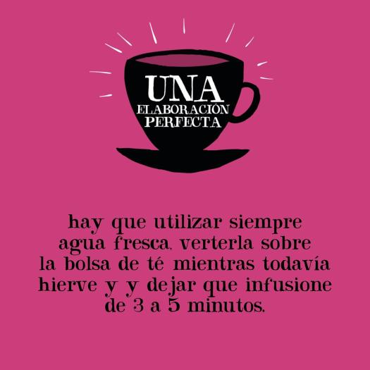 Infusión Fría con Grosella Negra y Equinácea Cupper Bio 10 bolsitas