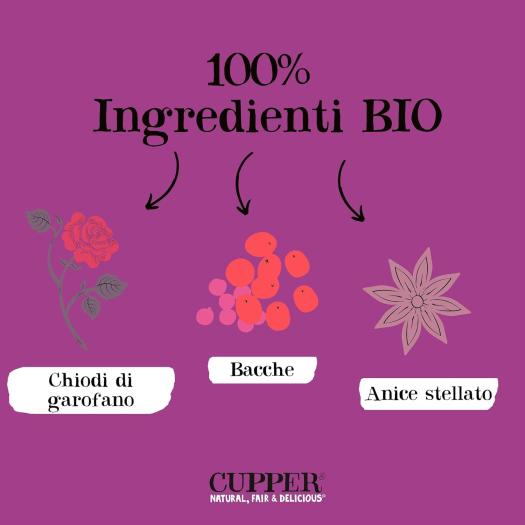 Infusión Winter Warm Hug Frutos Rojos Canela y Anís Cupper Bio 20 bolsitas
