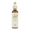 Larch Alerce 19 Flores de Bach Originales 20ml