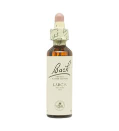 Larch Alerce 19 Flores de Bach Originales 20ml