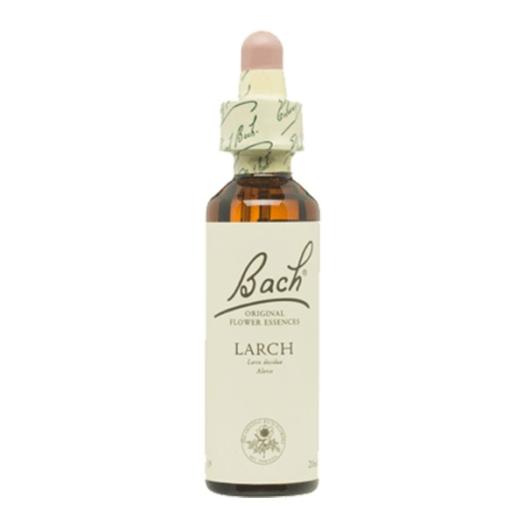 Larch Alerce 19 Flores de Bach Originales 20ml