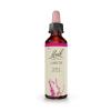 Larch Alerce 19 Flores de Bach Originales 20ml