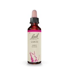 Larch Alerce 19 Flores de Bach Originales 20ml