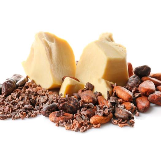 Manteca de Cacao en Obleas Salud Viva Bio 250g