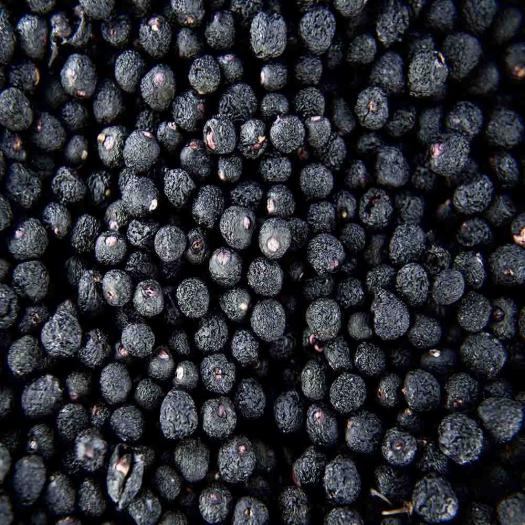 Maqui Berry en Polvo Salud Viva Bio 50g