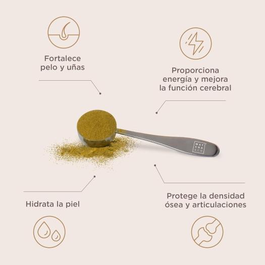 Matcha Collagen Colágeno Aroma Chocolate con Magnesio y Té Matcha Matcha&Co 300g