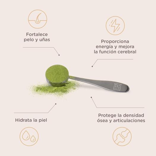 Matcha Collagen Colágeno Aroma Vainilla con Magnesio y Té Matcha Matcha&Co 300g