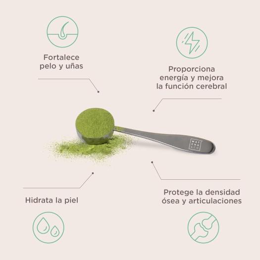 Matcha Collagen Colágeno Marino Matcha&Co 290g