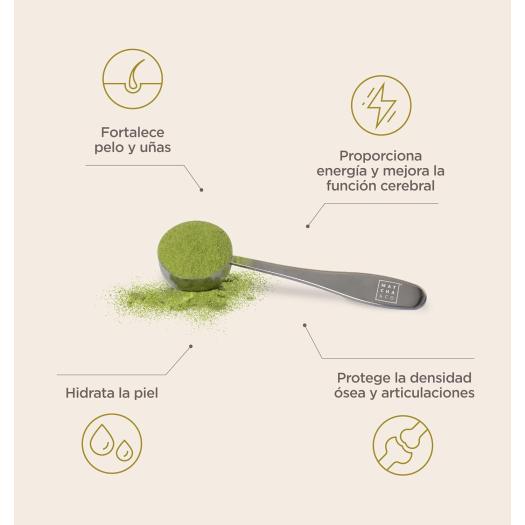 Matcha Collagen Colágeno Marino Matcha Limon Matcha&Co 290g