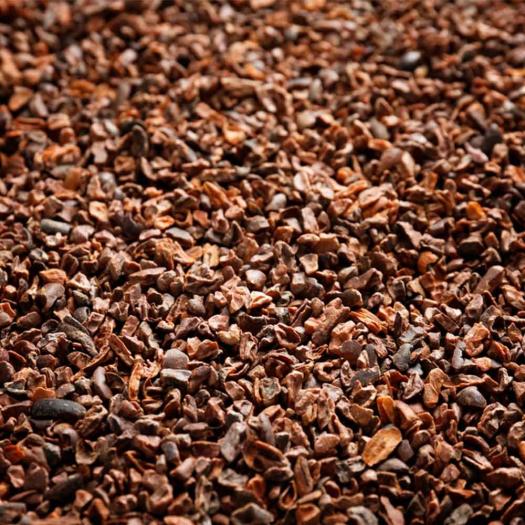 Nibs de Cacao Salud Viva Bio 250g