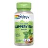 Olmo (Slippery Elm Bark) 400 mg Solaray 100 VegCaps