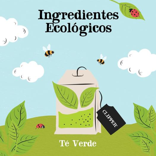 Té Verde Cupper Bio 250 bolsitas