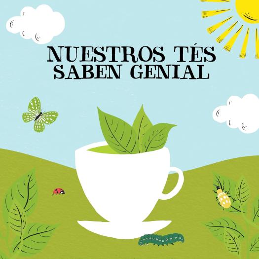 Té Verde Cupper Bio 250 bolsitas