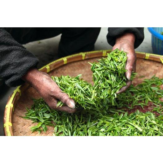 Té Verde Sencha Premium Japón Destination Bio 20 Filtros 40g