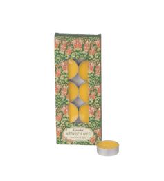 Velas Nightlight Nature´s Nest Goloka