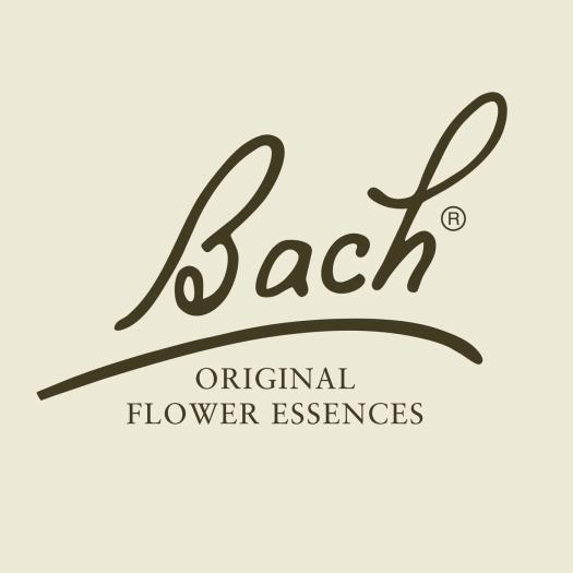 Wild Oat Avena Silvestre 36 Flores de Bach Originales 20ml